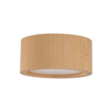 Downlight natynkowy EVE 10123 1x11W/GX53 IP20 od TK Lighting