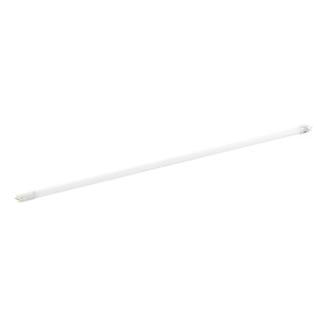 Świetlówka LED liniowa LEDG13 110344 4000K 1x23W/G13 ip20 od Eglo