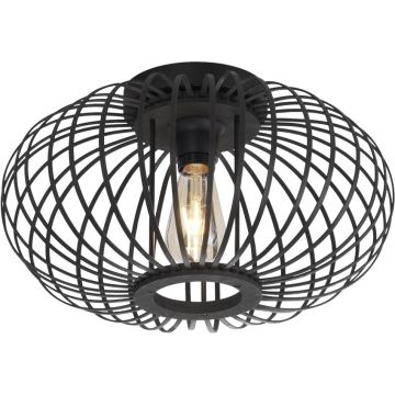 Lampa sufitowa RACOON 11410-18 5x40W/E27 ip20 od Paul Neuhaus