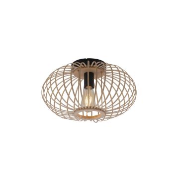 Lampa sufitowa RACOON 11410-79 1x40W/E27 IP20 od Paul Neuhaus