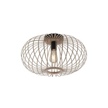 Lampa sufitowa RACOON 11411-79 1x40W/E27 IP20 od Paul Neuhaus