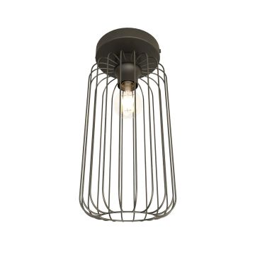 Lampa sufitowa BARN 1367/1 1x15W/E27 IP20 od Emibig