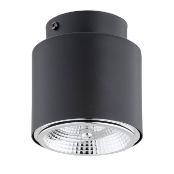 Downlight natynkowy NANO 1310/1 1x15W/GU10 AR111 IP20 od Emibig