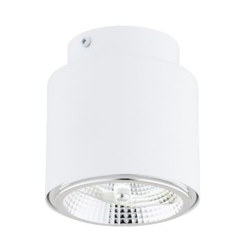 Downlight natynkowy NANO 1311/1 1x15W/GU10 AR111 IP20 od Emibig