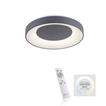 Lampa sufitowa ANIKA 14326-18 5000K 1x26,5W/LED 1450lm IP20 od Paul Neuhaus