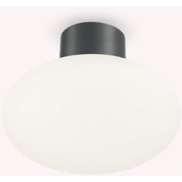 Lampa sufitowa CLIO 148861 1x42W/E27 ip44 od Ideal Lux