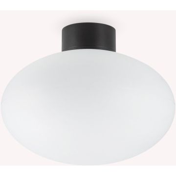 Lampa sufitowa CLIO 148878 1x42W/E27 ip44 od Ideal Lux