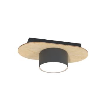 Lampa sufitowa DIAZ 1438/1 1x10W/GX53 IP20 od Emibig