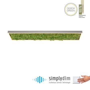 Lampa sufitowa GREEN KNUT 15623-66 3000k 1x25W/LED 2050lm ip20 od Paul Neuhaus
