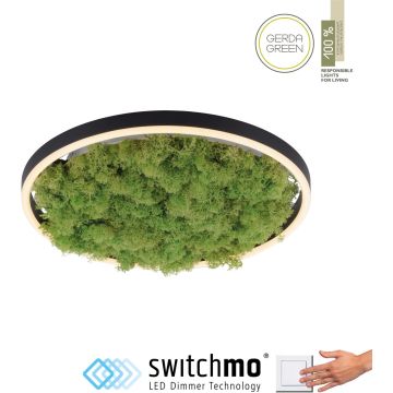 Lampa sufitowa GREEN RITUS 15391-66 3000k 1x20W/LED 630lm ip20 od Paul Neuhaus