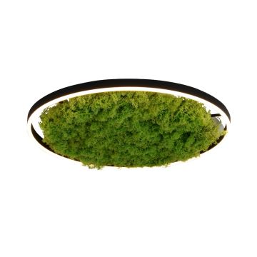 Lampa sufitowa GREEN RITUS 15392-66 3000k 1x28W/LED 960lm ip20 od Paul Neuhaus