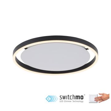 Lampa sufitowa RITUS 15391-13 3000K 1x20W/LED 800lm IP20 od Paul Neuhaus