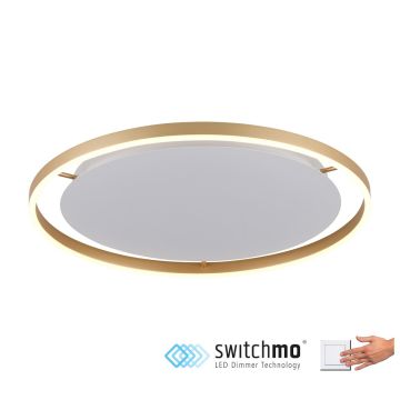 Lampa sufitowa RITUS 15392-60 3000K 1x28W/LED 1550lm IP20 od Paul Neuhaus