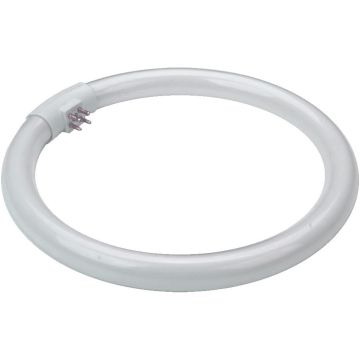 Żarówka OTHERS BULBS 17007 TUBE 28w/t5 od Prezent