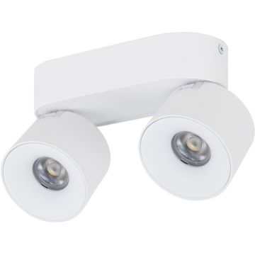 Spot SPARK 18171 3000/4000/6000 K 2x10W/LED 965lm IP20 od TK Lighting
