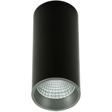 Downlight natynkowy Moldes Big BL/GR Celing 3000K SLC7392/12W 3000K BL+GR 3000K 1x12W/LED 820lm IP20 od Italux