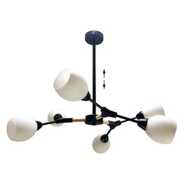 Lampa sufitowa CITTERIO 18300 6x40W/E14 IP20 od Prezent