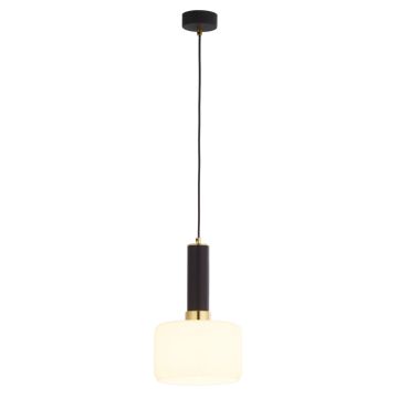 Lampa wisząca VANES 1852 1x15W/E27 IP20 od Jupiter