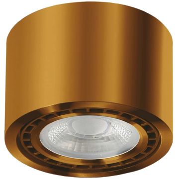 Downlight natynkowy ECO ALIX AZ3496 1x35W/ES111 od AZzardo
