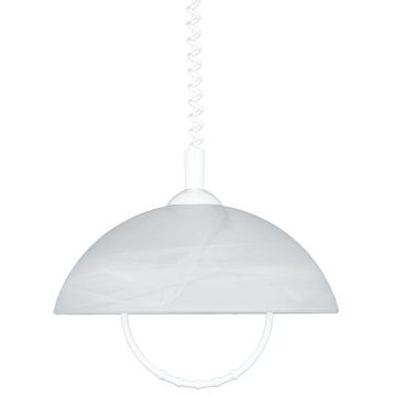 Lampa wisząca ALBERT 23068 1x60W/E27 IP20 od Prezent