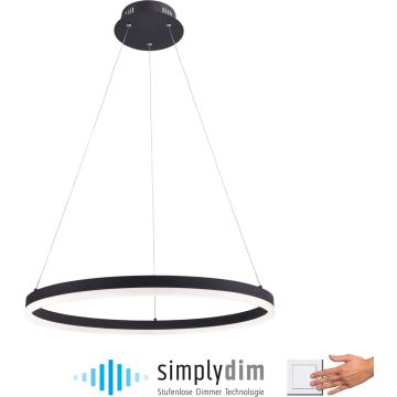 Lampa wisząca TITUS 2382-13 1x44W/LED ip20 od Paul Neuhaus