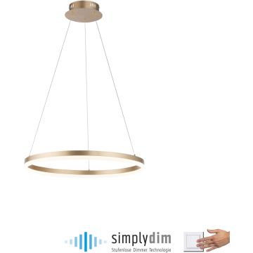 Lampa wisząca TITUS 2382-60 3000k 1x44W/LED 5250lm ip20 od Paul Neuhaus