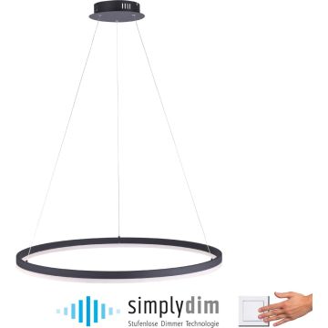 Lampa wisząca TITUS 2383-13 1x61W/LED ip20 od Paul Neuhaus
