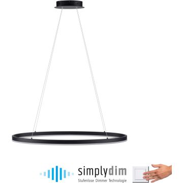 Lampa wisząca TITUS 2392-13 3000k 1x38W/LED 1800lm ip20 od Paul Neuhaus
