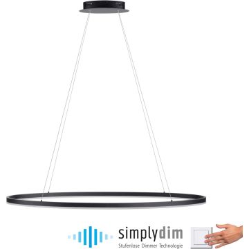 Lampa wisząca TITUS 2393-13 3000k 1x57,5W/LED 2700lm ip20 od Paul Neuhaus