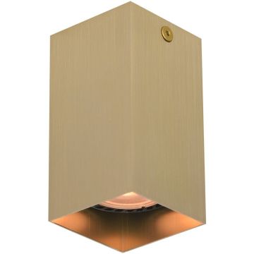 Downlight natynkowy Ander CLN-28394-S-GD 1x10W/GU10 IP20 od Italux
