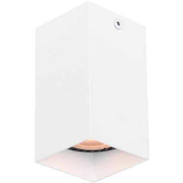 Downlight natynkowy Ander CLN-28394-S-WH 1x10W/GU10 IP20 od Italux