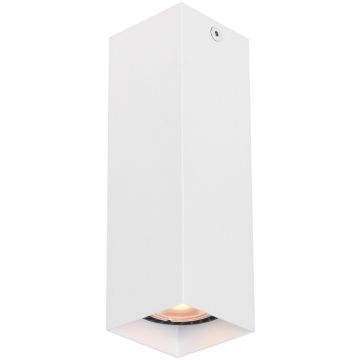 Downlight natynkowy Ander CLN-28394-M-WH 1x10W/GU10 IP20 od Italux