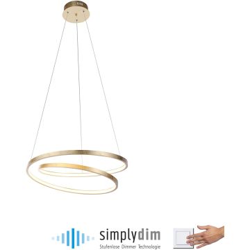 Lampa wisząca ROMAN 2472-12 3000k 1x32W/LED 4000lm ip20 od Paul Neuhaus