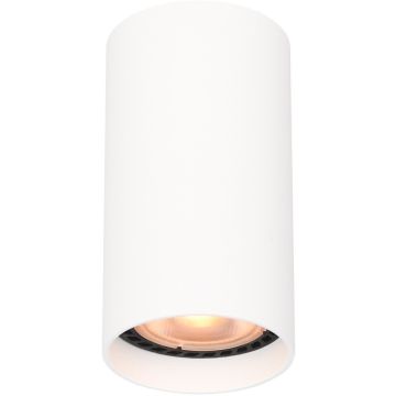 Downlight natynkowy Lopus CLN-48930-S-WH 1x10W/GU10 IP20 od Italux