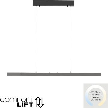 Lampa wisząca ADRIANA COMFORT LIFT 2598-13 2700-5000k 1x13W/LED 2085lm ip20 od Paul Neuhaus