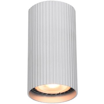 Downlight natynkowy Rilok CLN-83920-S-ALU 1x10W/GU10 IP20 od Italux