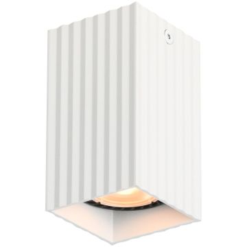 Downlight natynkowy Tecno CLN-37492-S-WH 1x10W/GU10 IP20 od Italux
