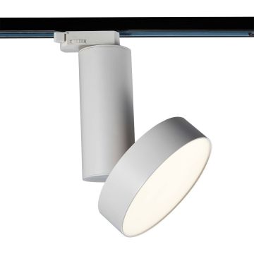 Reflektor szynowy Futura White L 4000K TL73021/18W 4000K WH 4000K 1x18W/LED 1640lm IP20 od Italux