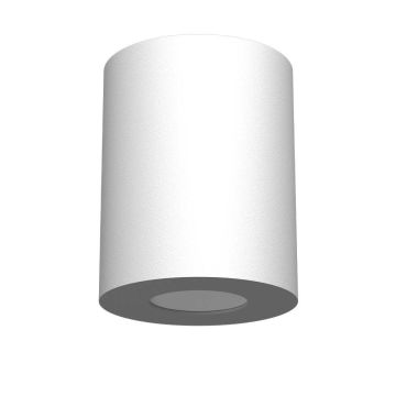 Downlight natynkowy Point 1257 1x10W/GU10 IP44 od Antigo