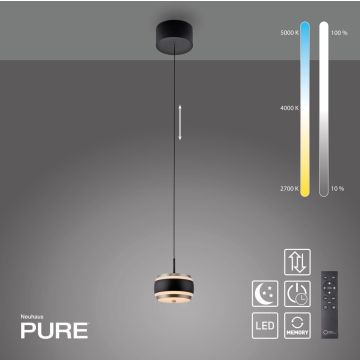 Lampa wisząca PURE FALLING RINGS 2503-18 2200-5000k 1x8W/LED 310lm ip20 od Paul Neuhaus