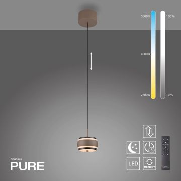 Lampa wisząca PURE FALLING RINGS 2503-97 2200-5000k 1x8W/LED 310lm ip20 od Paul Neuhaus