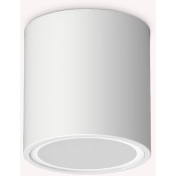 Downlight natynkowy TECHO 318127 1x20W/GU10 ip54 od Ideal Lux