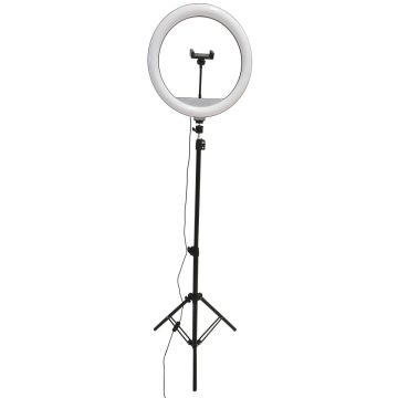 Lampka biurkowa SELFIE 327598 2700K-4000K-6000K 1x15W/LED 330lm IP20 od Polux