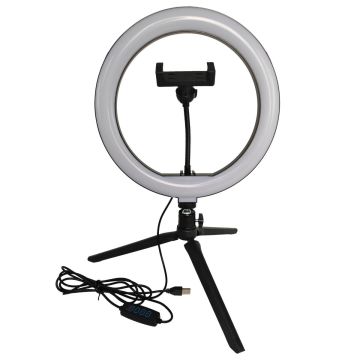 Lampka biurkowa SELFIE 327604 2700K-4000K-6000K 1x10W/LED 240lm IP20 od Polux