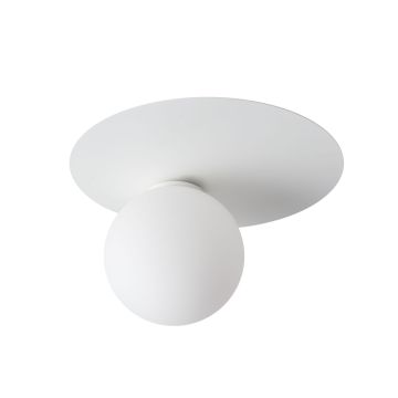 Lampa sufitowa ARGON 33262 1x12W/G9 od Sigma Lighting