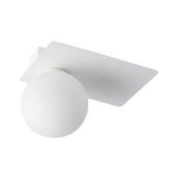 Lampa sufitowa ARGON 33272 1x12W/G9 od Sigma Lighting