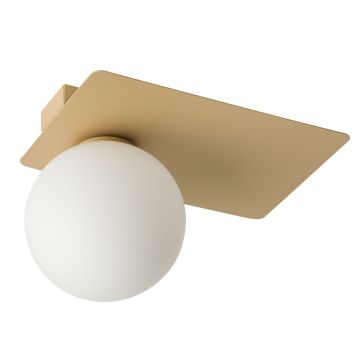 Lampa sufitowa ARGON 33274 1x12W/G9 od Sigma Lighting