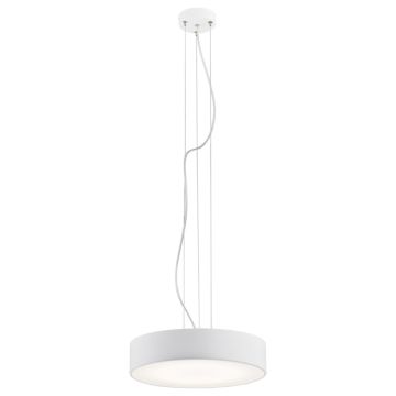 Zwis 3349 DARLING od Argon