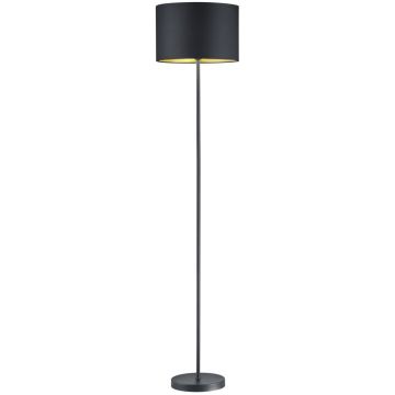 Lampa podłogowa HOSTEL 408200179 1x60w/e27 ip20 od Trio