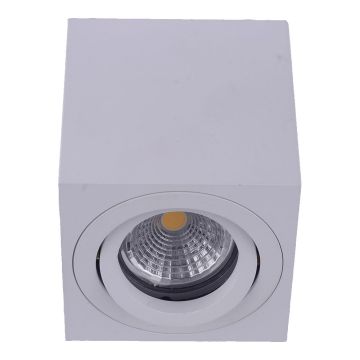 Downlight natynkowy ALUX I. 48608 1x50W/GU10 IP20 od Prezent